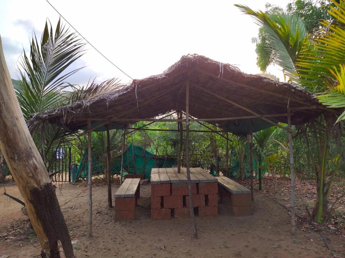 Whistling Waves Beach Resort Ānjarle Buitenkant foto